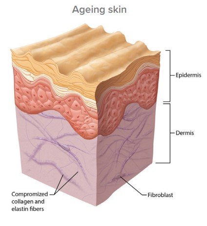 ageing skin treatments in Hampshire