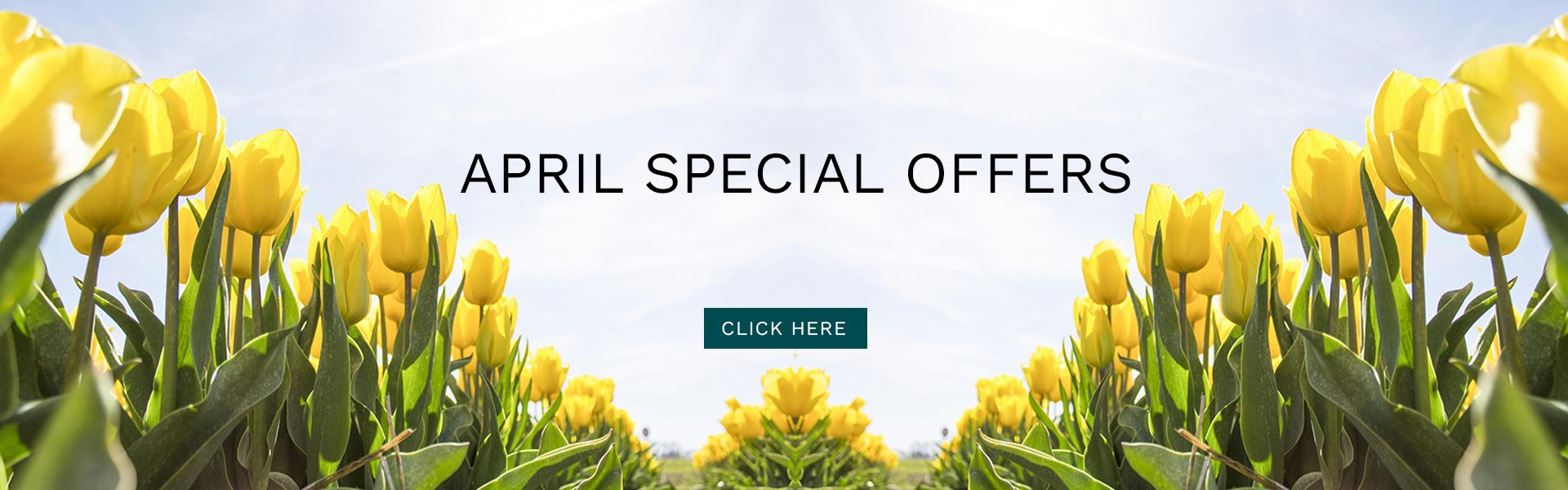 APRIL SPECIAL OFFERS AT RITUAL SKIN & BEAUTY CLINIC IN HAMPSHIRE